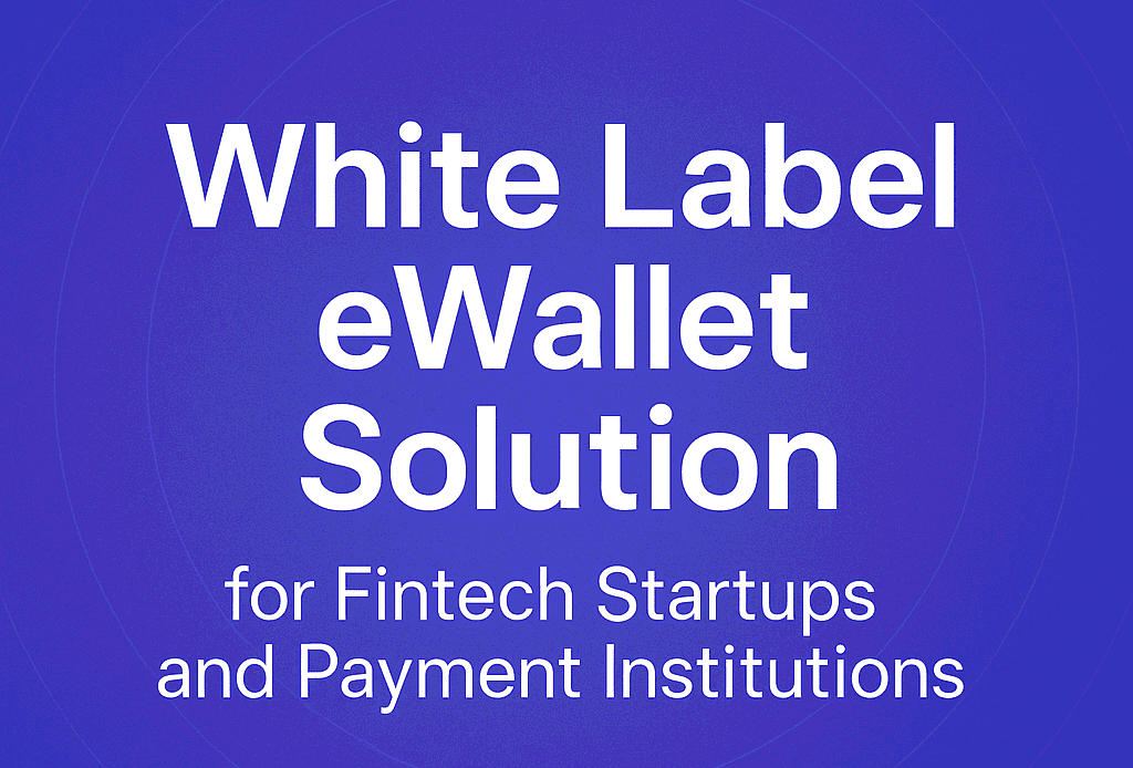 White Label eWallet Solution for Fintech Startups and Payment Institutions