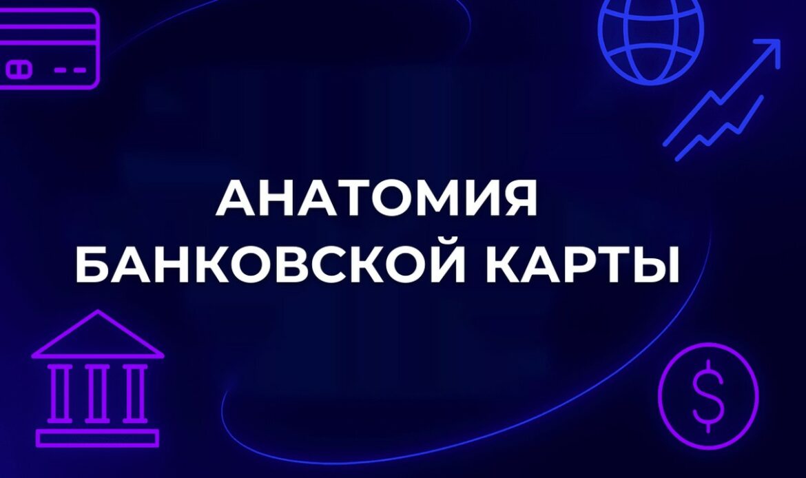 Анатомия банковской карты